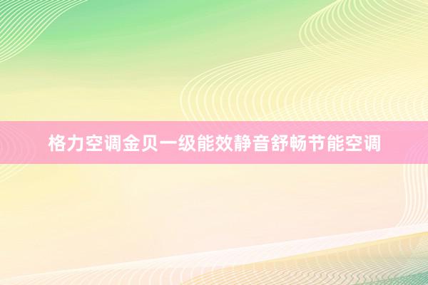 格力空调金贝一级能效静音舒畅节能空调